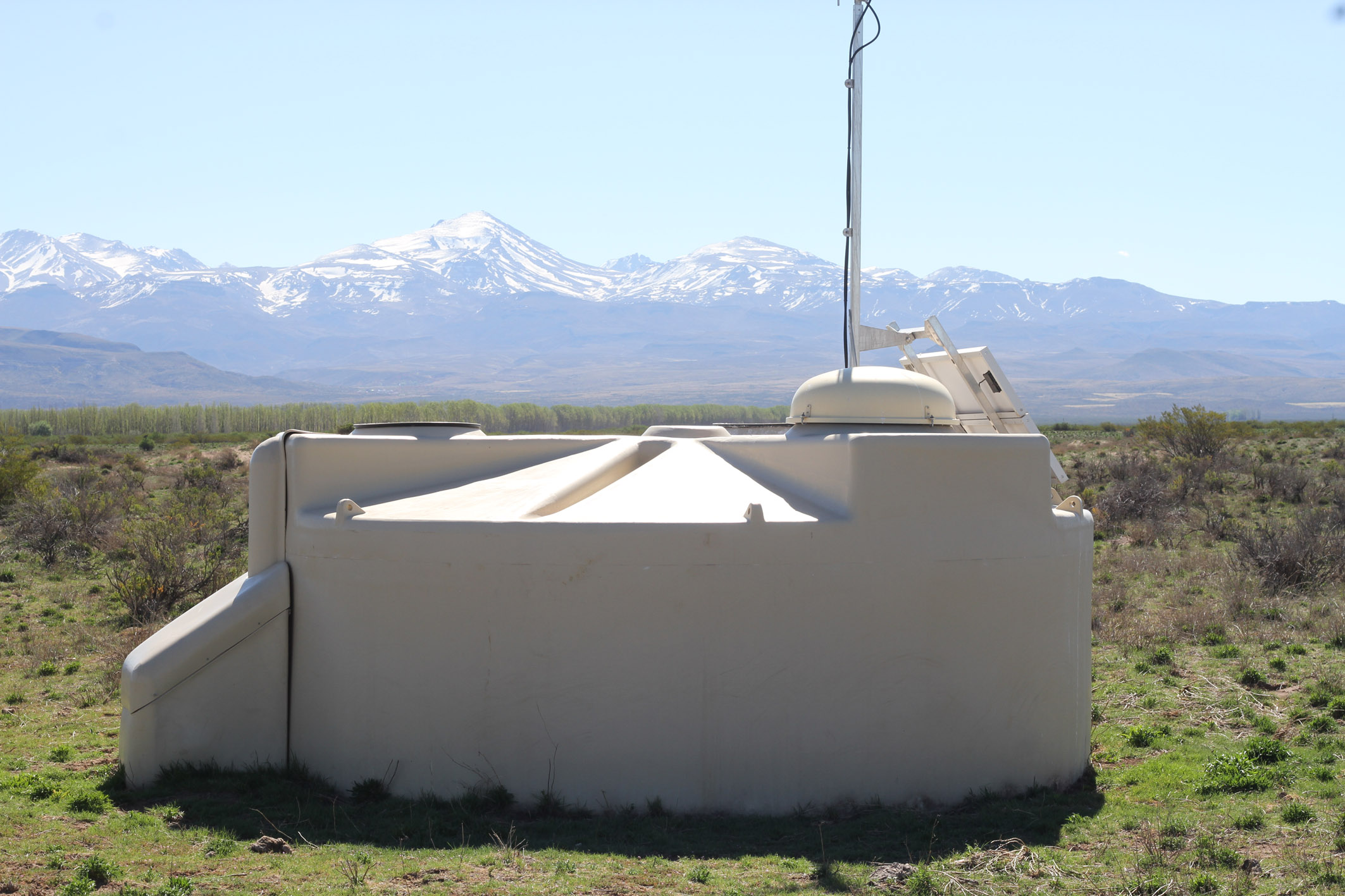 surface_detector_reduced