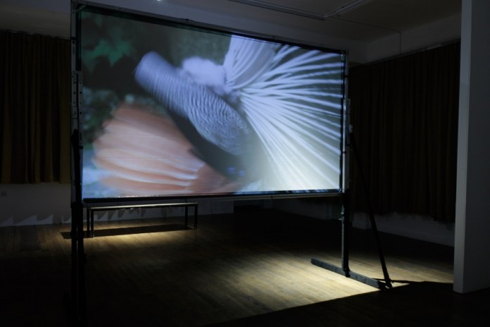 PP-S_A-Maria-Healy_When-Dealers-Are_install_0021_web_900_600_s