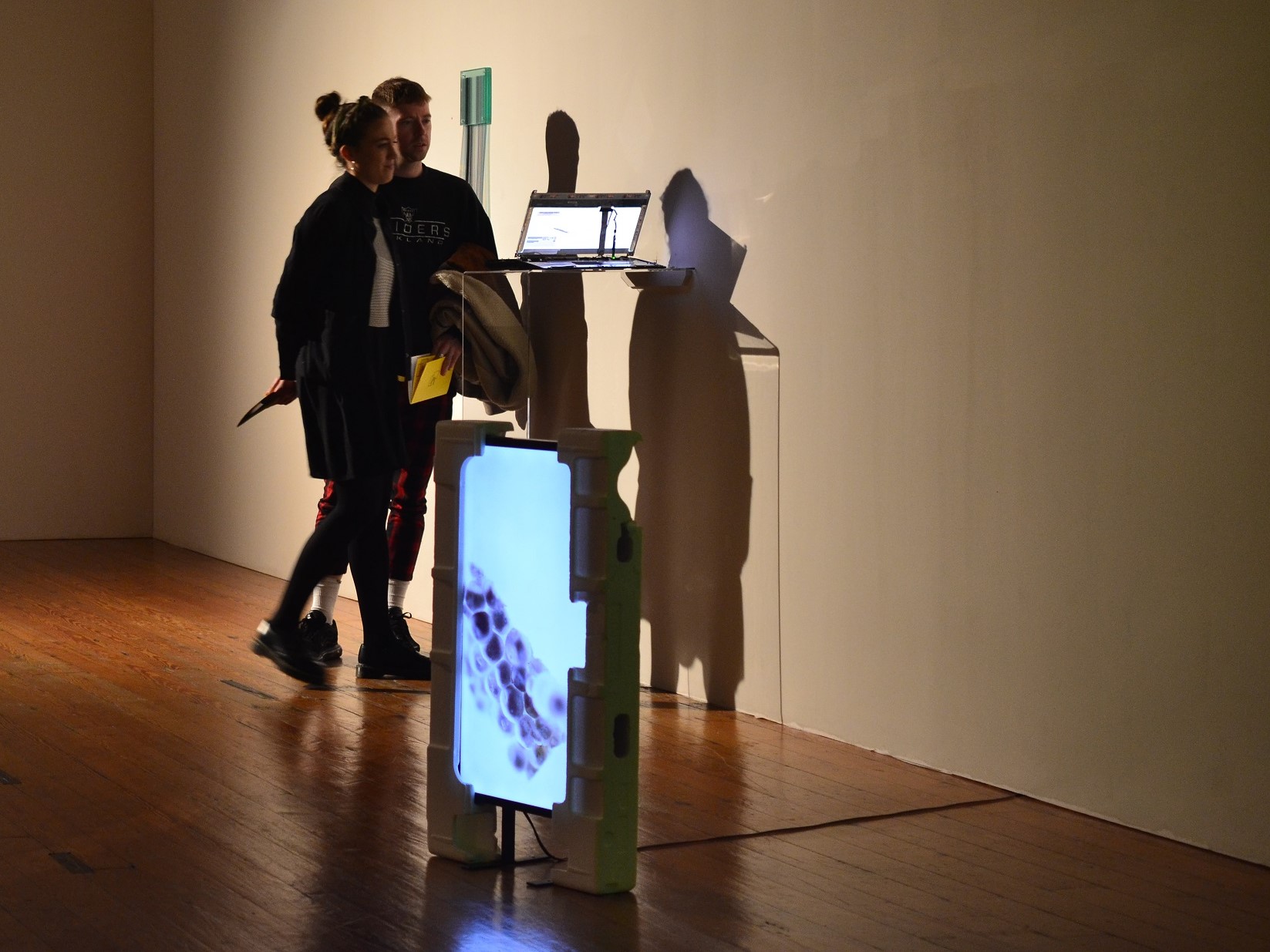 Installation shot, RDS Visual Art Awards, 2019 (2)